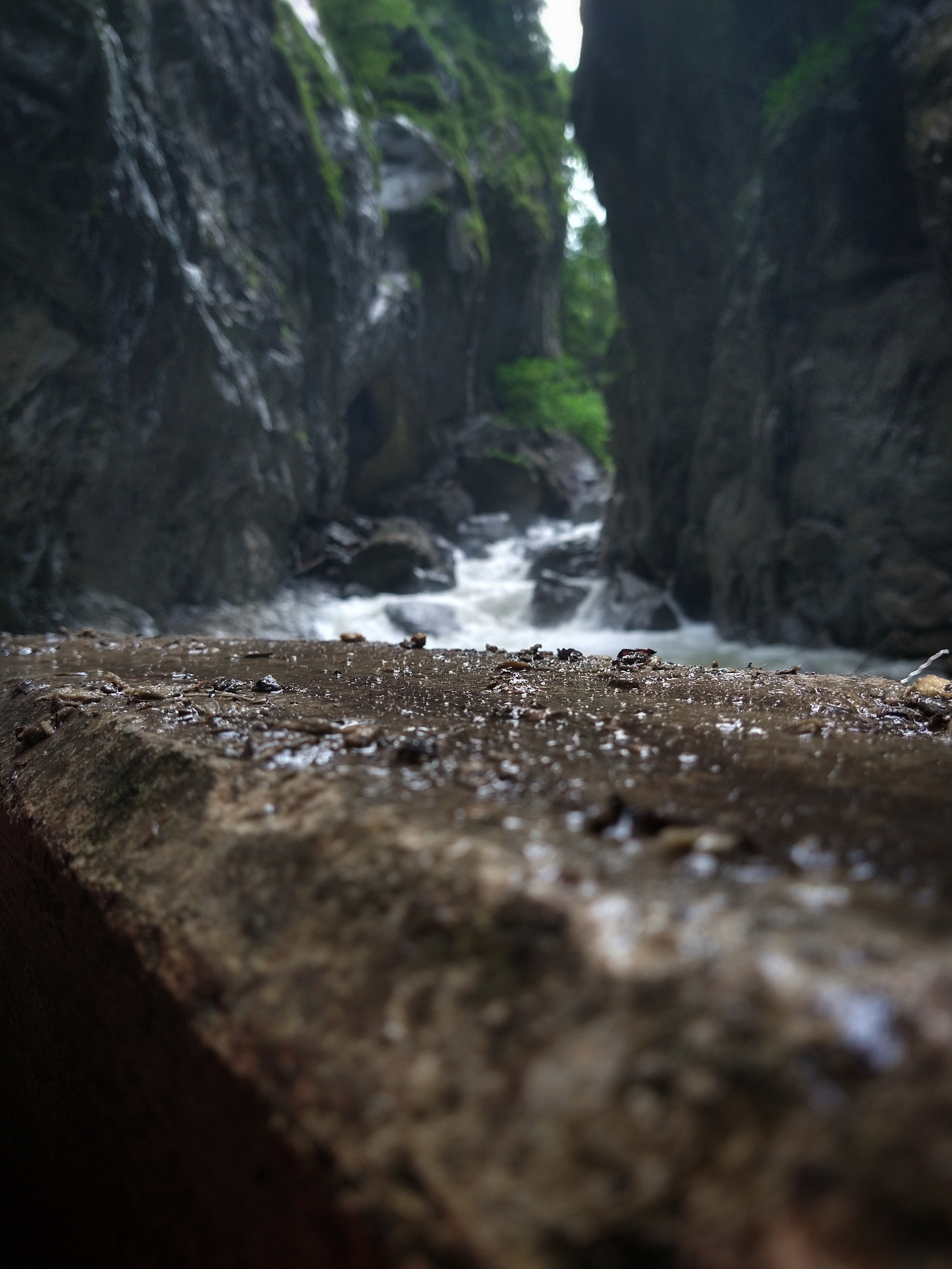 Shot over a concrete wall into a valley with a stream running through it.