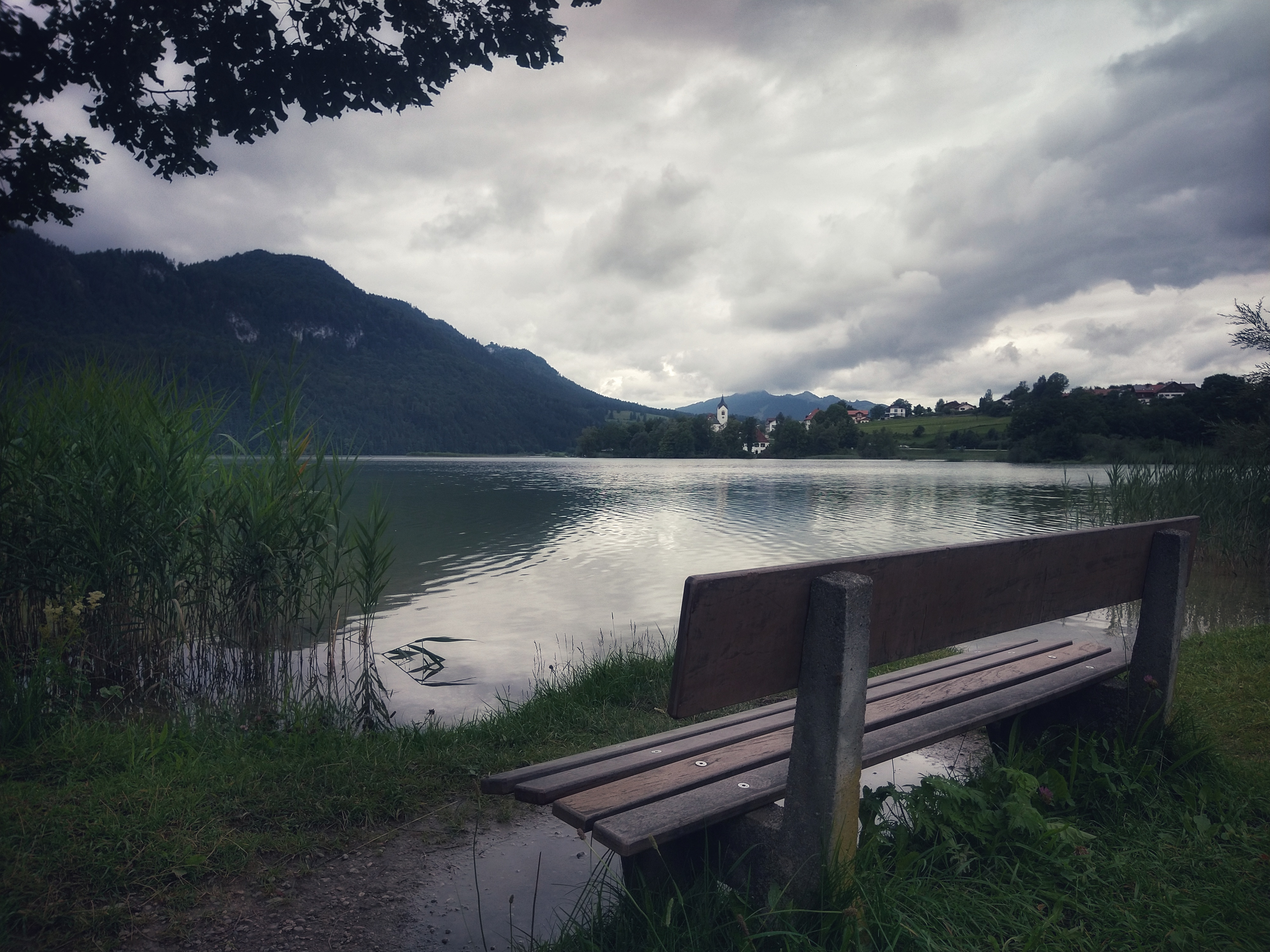 A bench in front of a still lake with a town on the other side