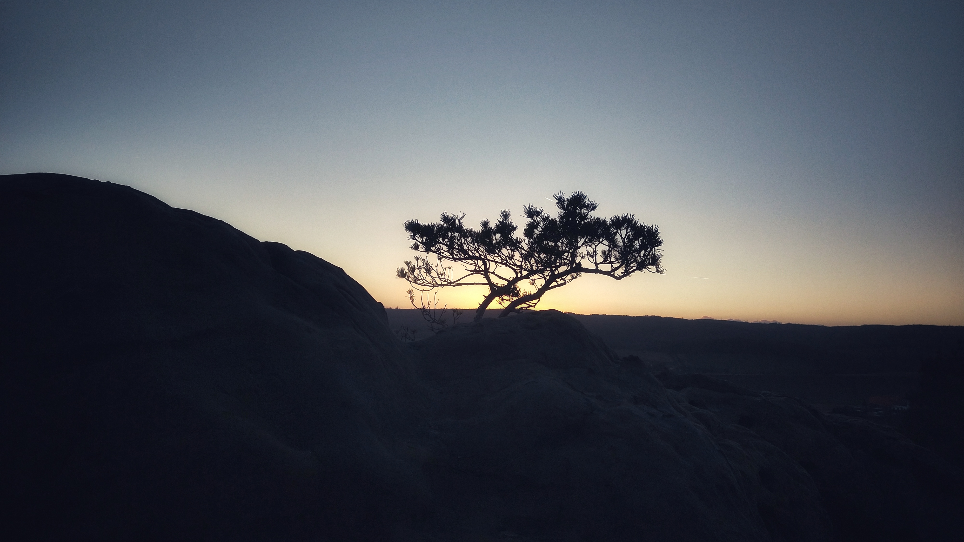 Sunset behind mountain. On top of the rocks is a small pine tree that looks like a savanna akazia tree