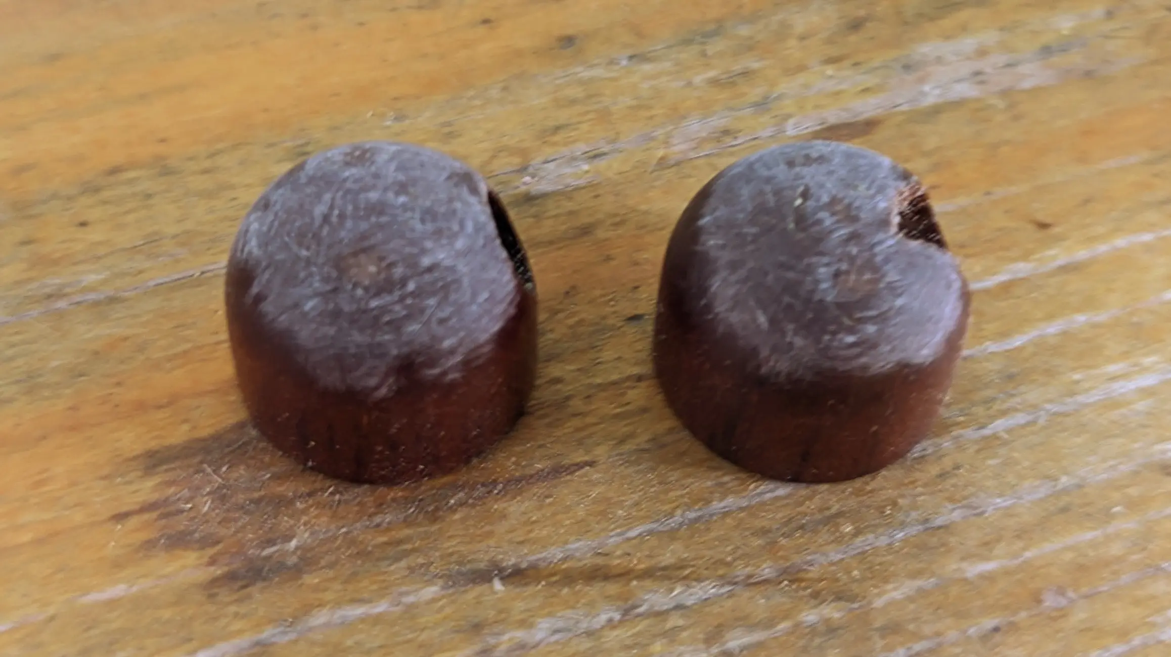 Close-up of the wooden shell pieces. The rounded top section has visible sanding marks on it, giving it a white-gray color. The logo can no longer be made out.