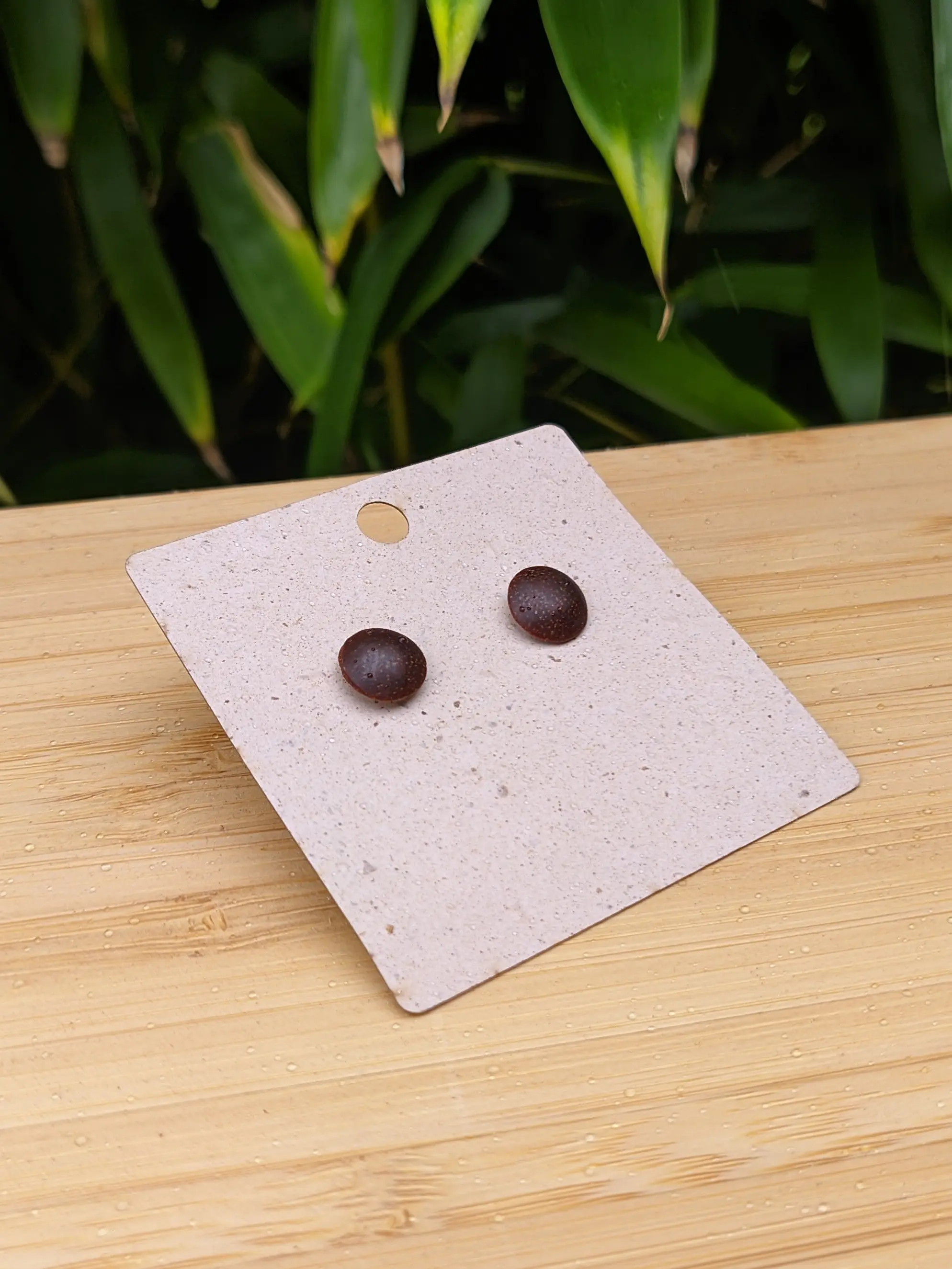 An earring display card placed on a bamboo board. Behind the bamboo board are the leaves of a bamboo plant.
The two dark brown dome earrings have been put through the card. Only their front is visible.