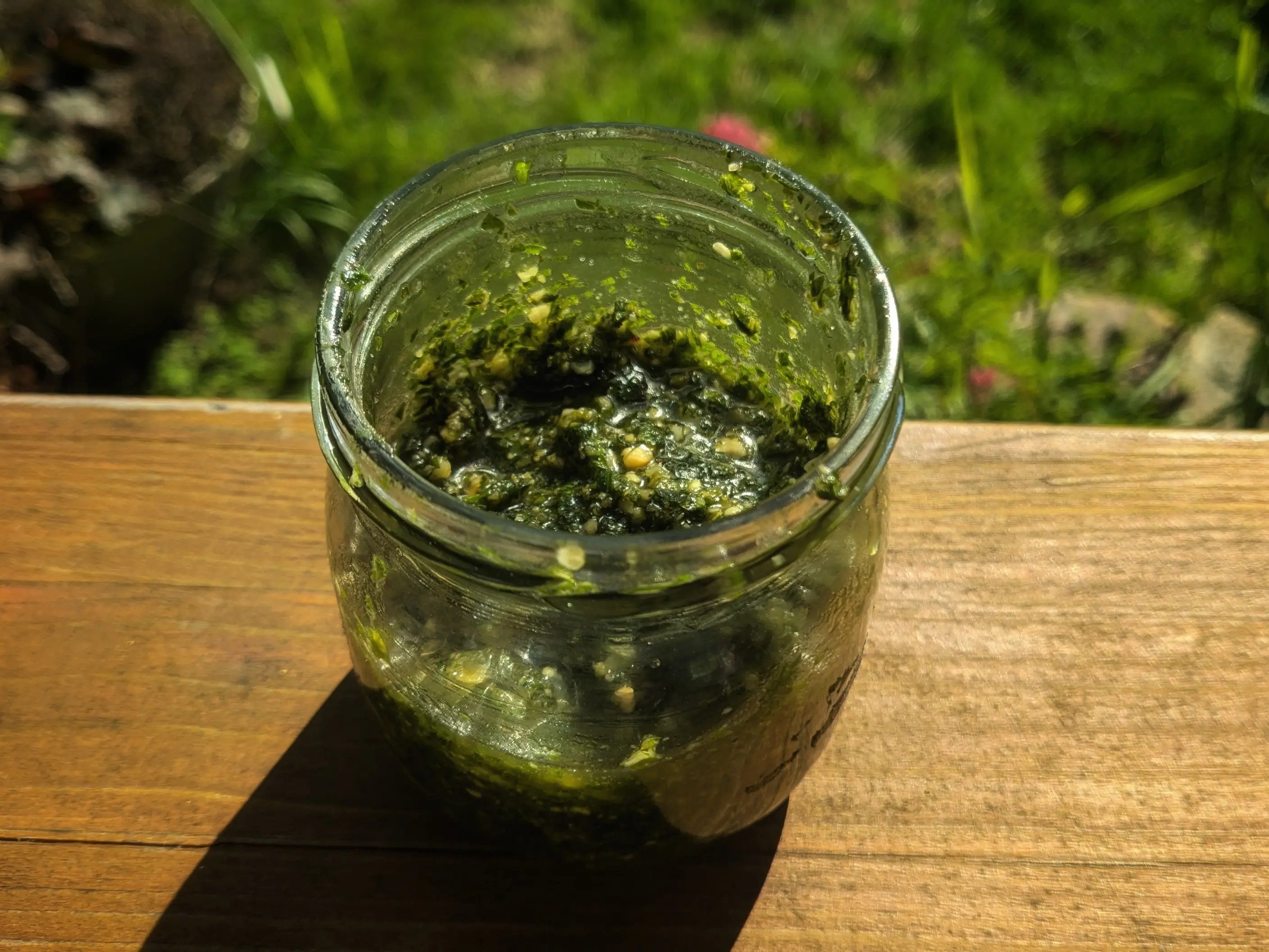 Small jar filled with an oily looking green substance with white chunks in it.