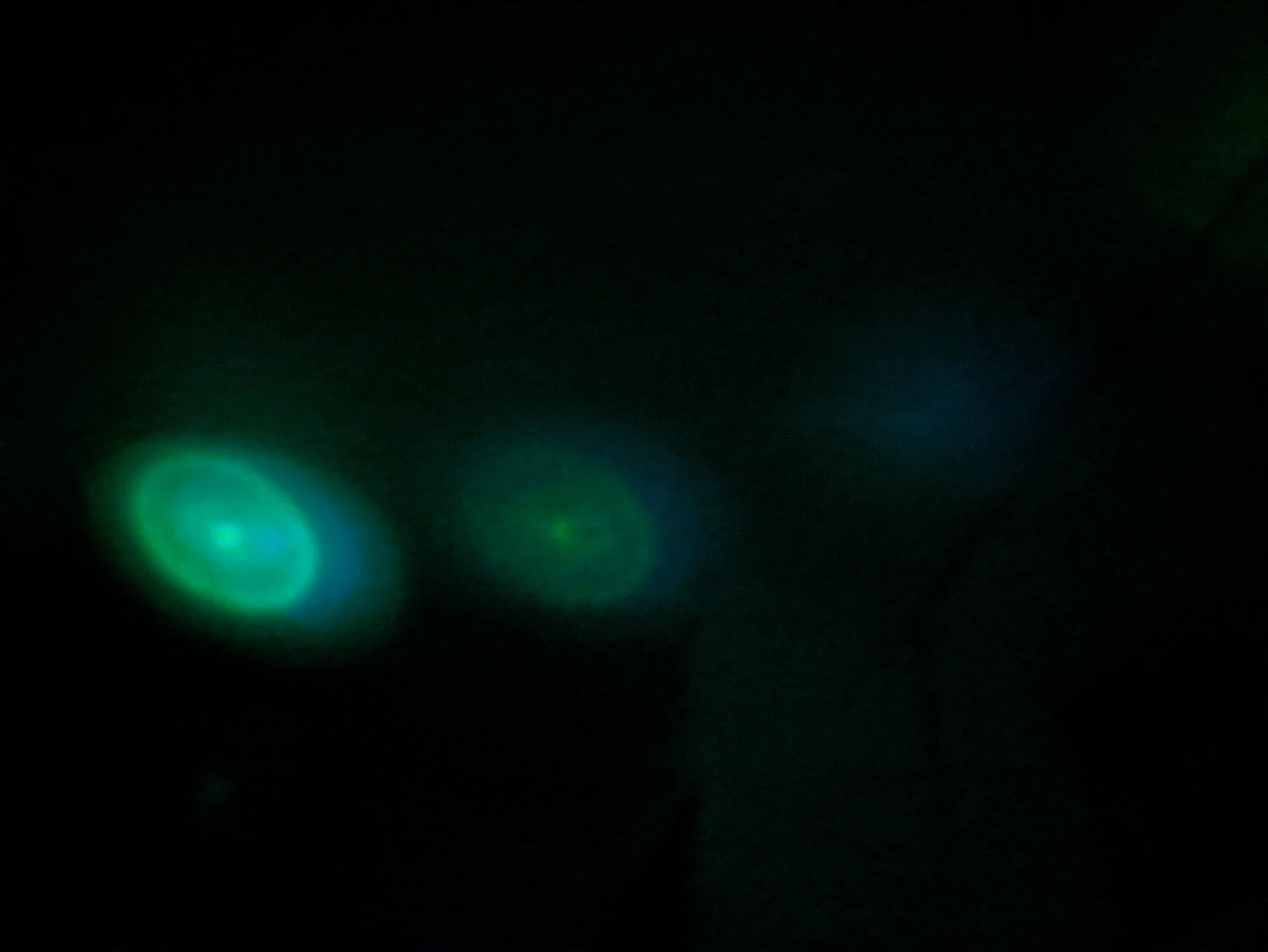 Three dots of blue and green lights in different intensities lighting up parts of the ceiling.
The picture appears dark otherwise.