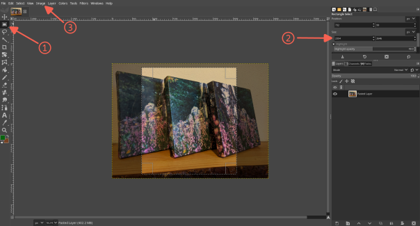 Screnshot of gimp with picture from above open. Arrows indicate the Ui elements to interact with