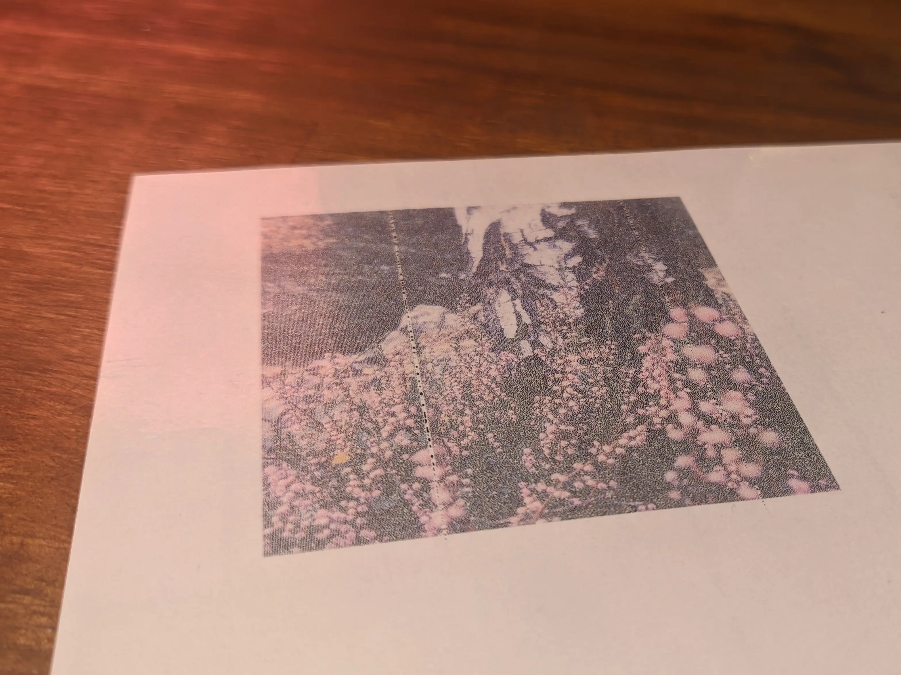 A glossy sheet of paper placed on a wooden surface. A square image of a tree is printed in the top left corner.
On closer look it becomes apparent that the image consists of a bunch of small ink droplets resting on top of the paper.
A visible line of ink is missing and forming larger blobs of ink.