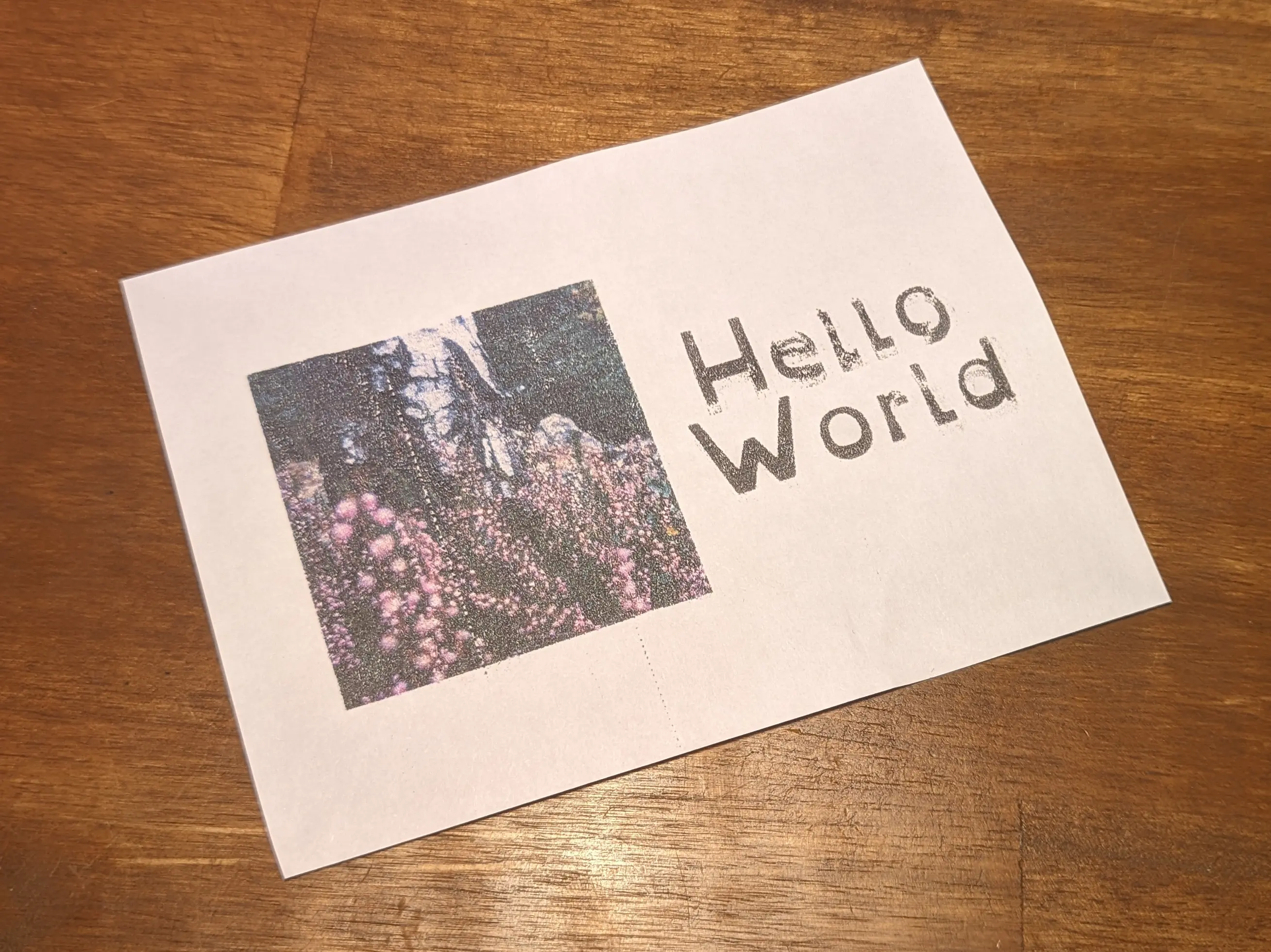 Cut-out piece of paper placed on a wooden desk. A picture of a tree with purple flowers has been transferred onto it. Next to the image is text reading &ldquo;Hello World&rdquo;.
Some letters have a bunch of artifacts and appear to be slightly shifted.
The photo has a white dotted line running through exactly where the ink was missing on the transfer sheet.
All printed areas have some tiny white dots speckled between them, making the ink droplets visible close up.