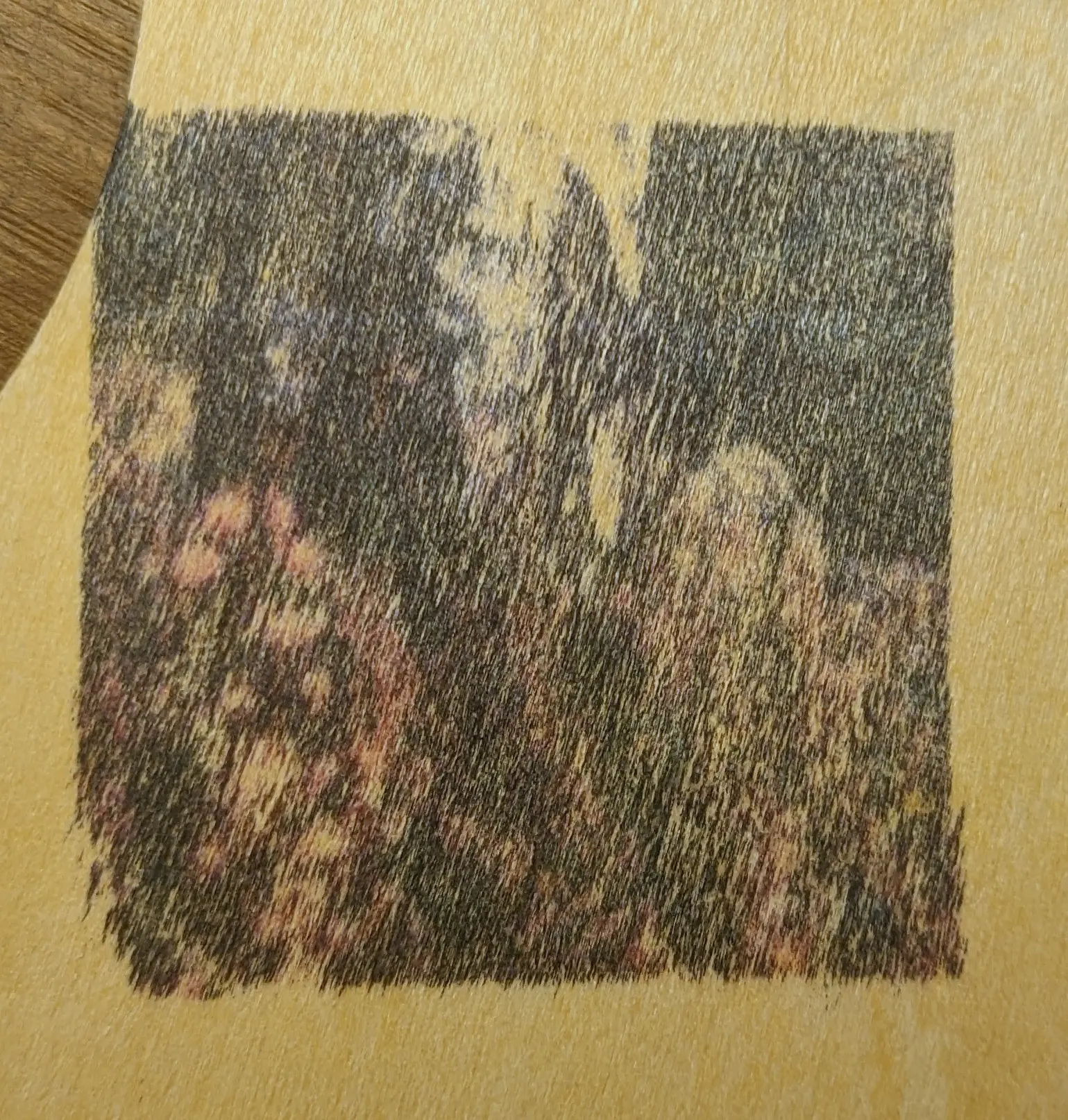 Picture of a piece of wood with the same tree and flowers picture transferred onto it.
It is quite easy to make out the image, although the lower sections of the wood also didn&rsquo;t absorb ink.
The ink has also accentuated the woodgrain running through the image, making it look quite busy.