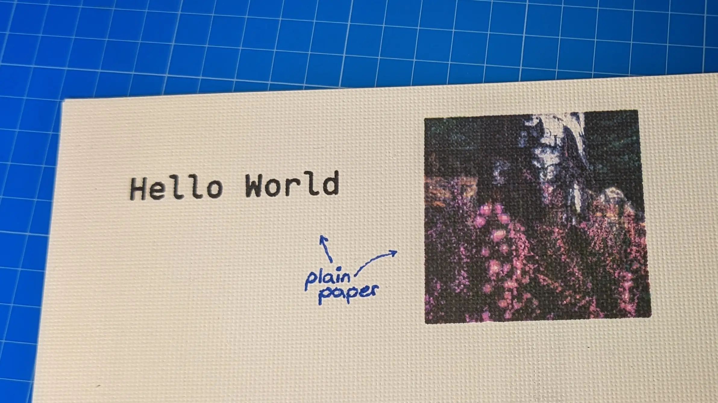 A portion of a canvas sheet on a blue background.
&ldquo;Hello World&rdquo; has been printed on the sheet in black. Next to it is a photo of a tree and some flowers.
Between them in blue handwriting are the words &ldquo;plain paper&rdquo; with arrows pointing at both printed elements, indicating the print settings used for printing.
The text is a dark black and stands out sharply against the white canvas pattern of the sheet. The image has vivid colors, with deep blacks and bright whites.