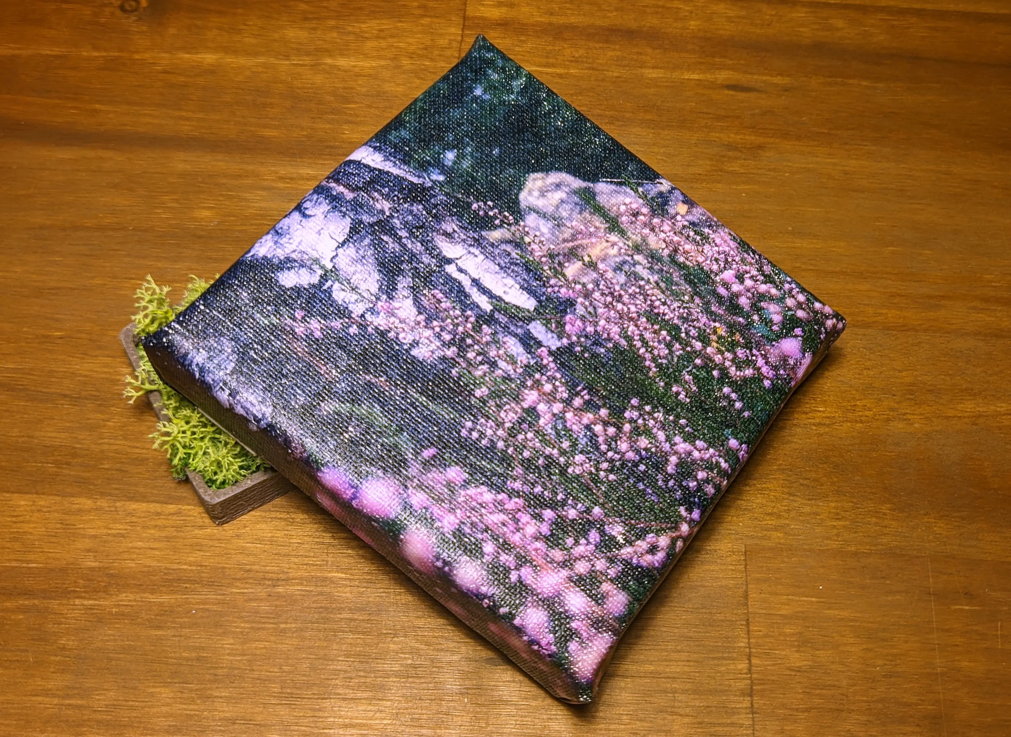 A smaller canvas propped up on a small planter.
The canvas has a printed version of my favourite photo of the birch tree surrounded by pink flowers printed on it.
The image has an impressive colour range, and the resolution allows making out the details on the tree bark.
The canvas pattern is visible throughout, partially reflecting the light of a lamp.
Impressively, the entire image is visible, with no missing parts.