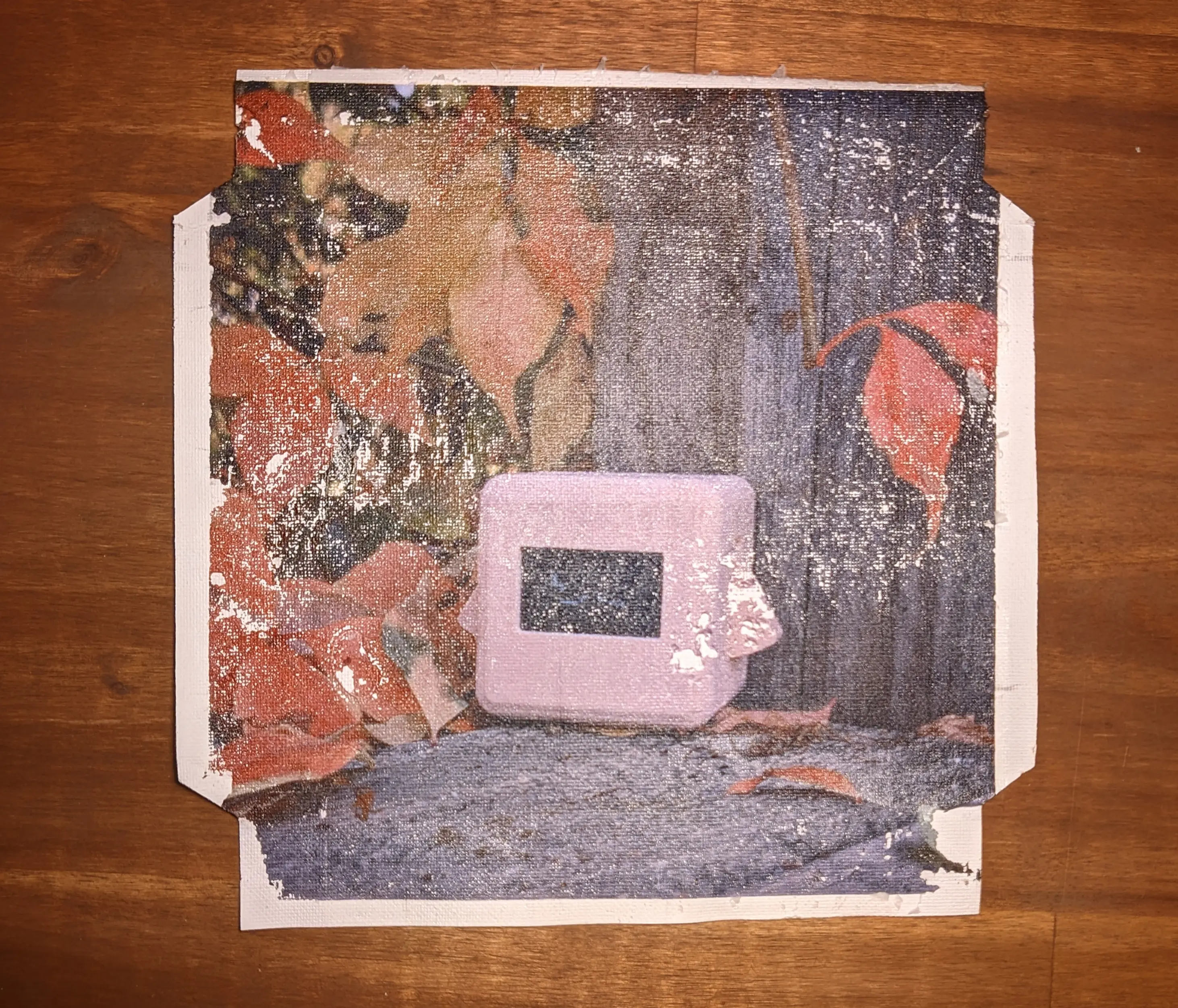 Flattened canvas sheet, with our printed image stuck to it.
The image is shinier than before, and the canvas pattern is visible when looking at it up close.
Unfortunately, a lot of the printed image is torn off and missing.