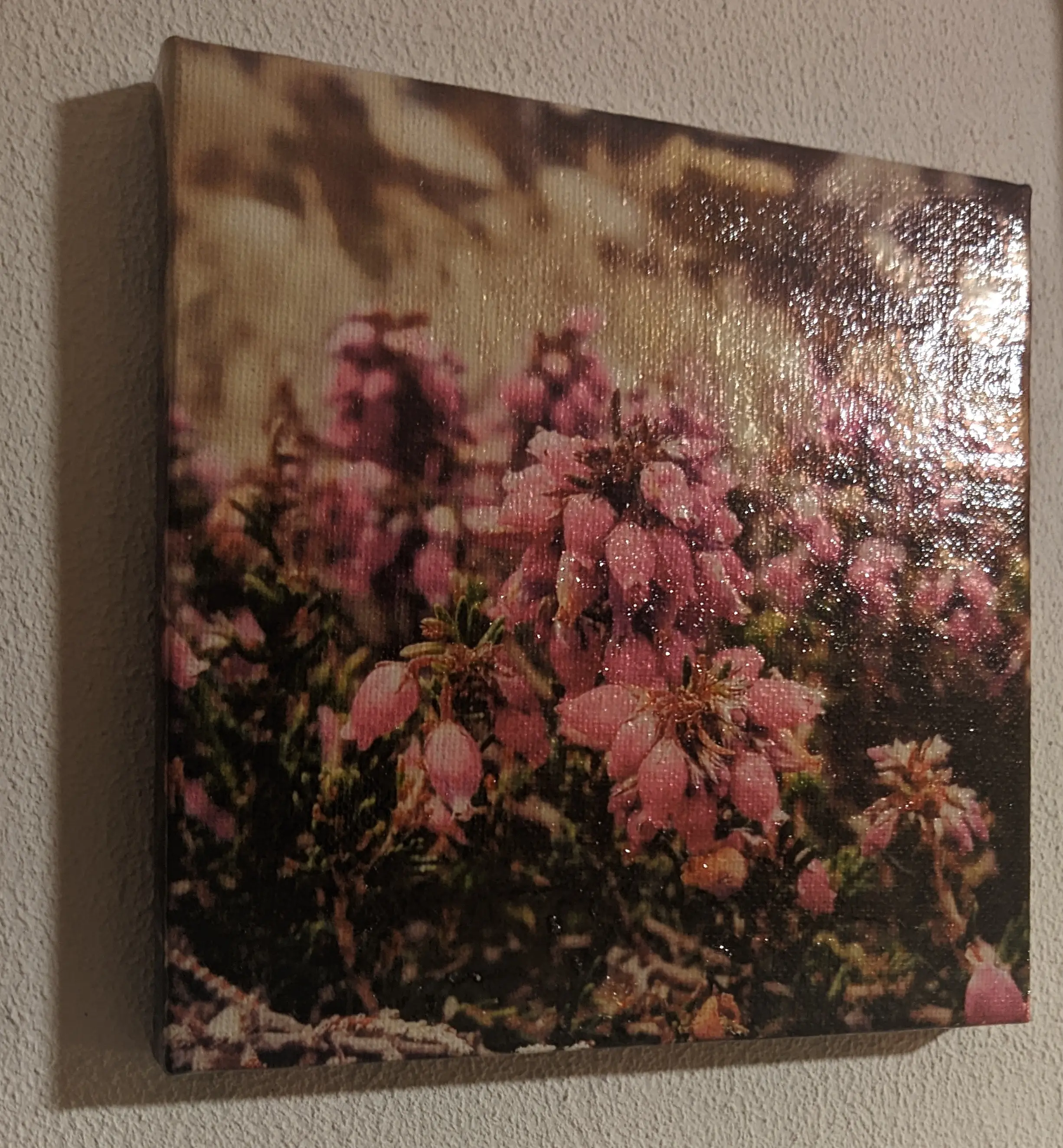 Canvas with a photo of a flower. A glossy finish has been applied on top of the canvas, and in the reflection you can make out the irregularities caused by a brush.