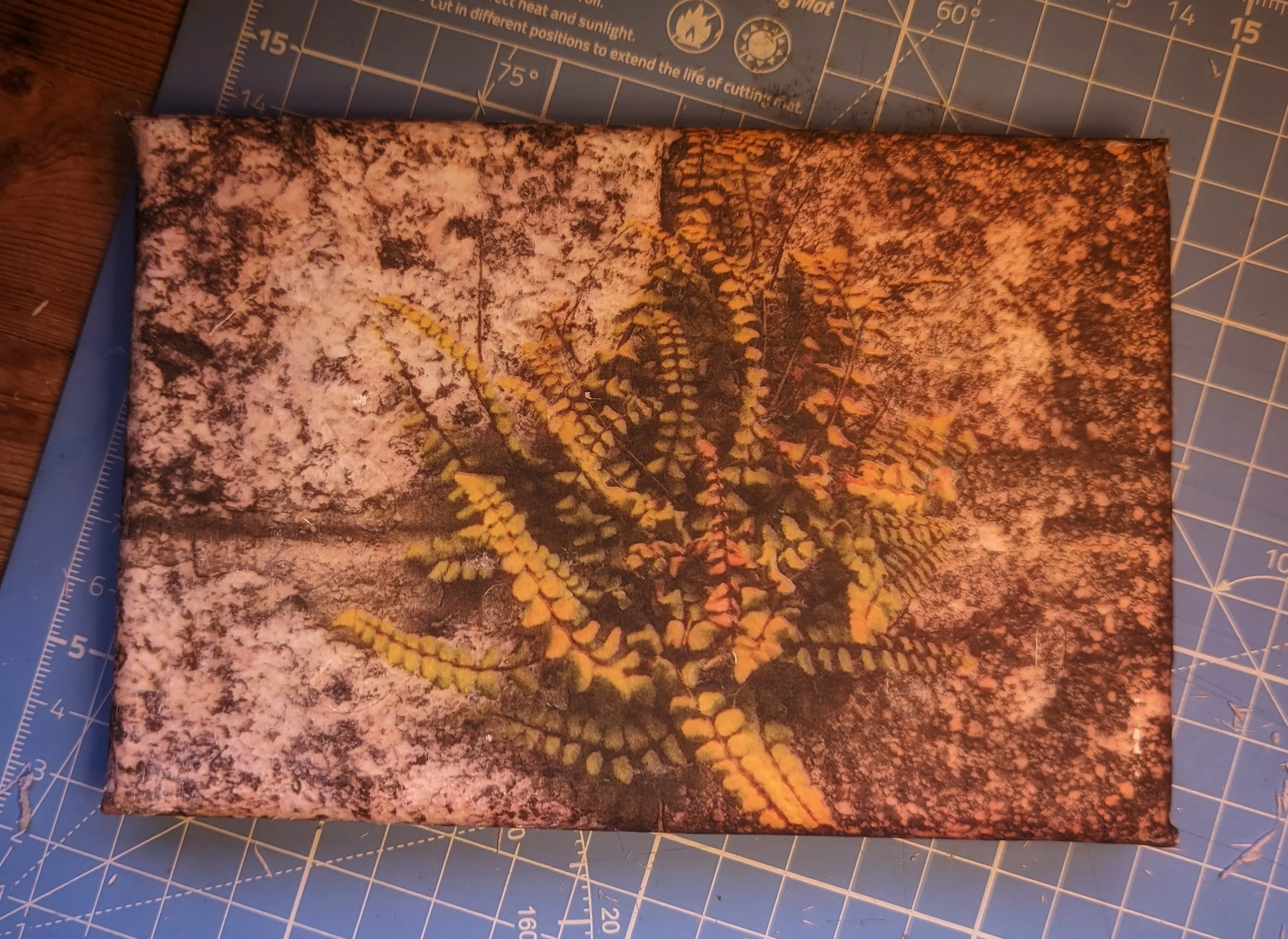 Canvas with paper fully removed. Only the &ldquo;printed on&rdquo; photo is visible.