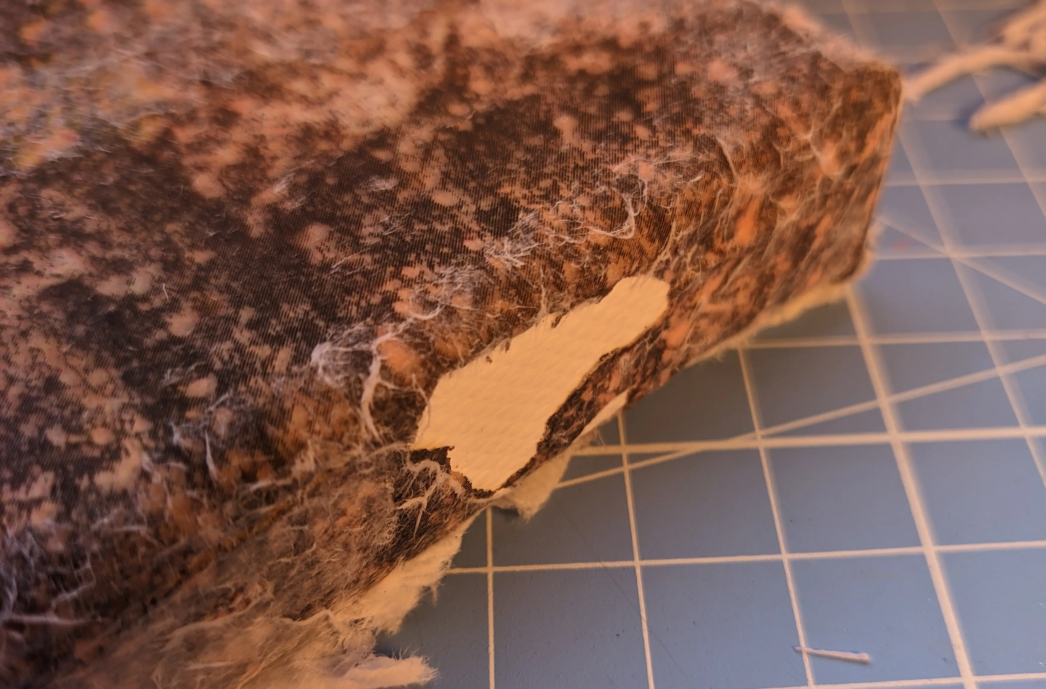 A finger-sized section of the picture ripped of from canvas