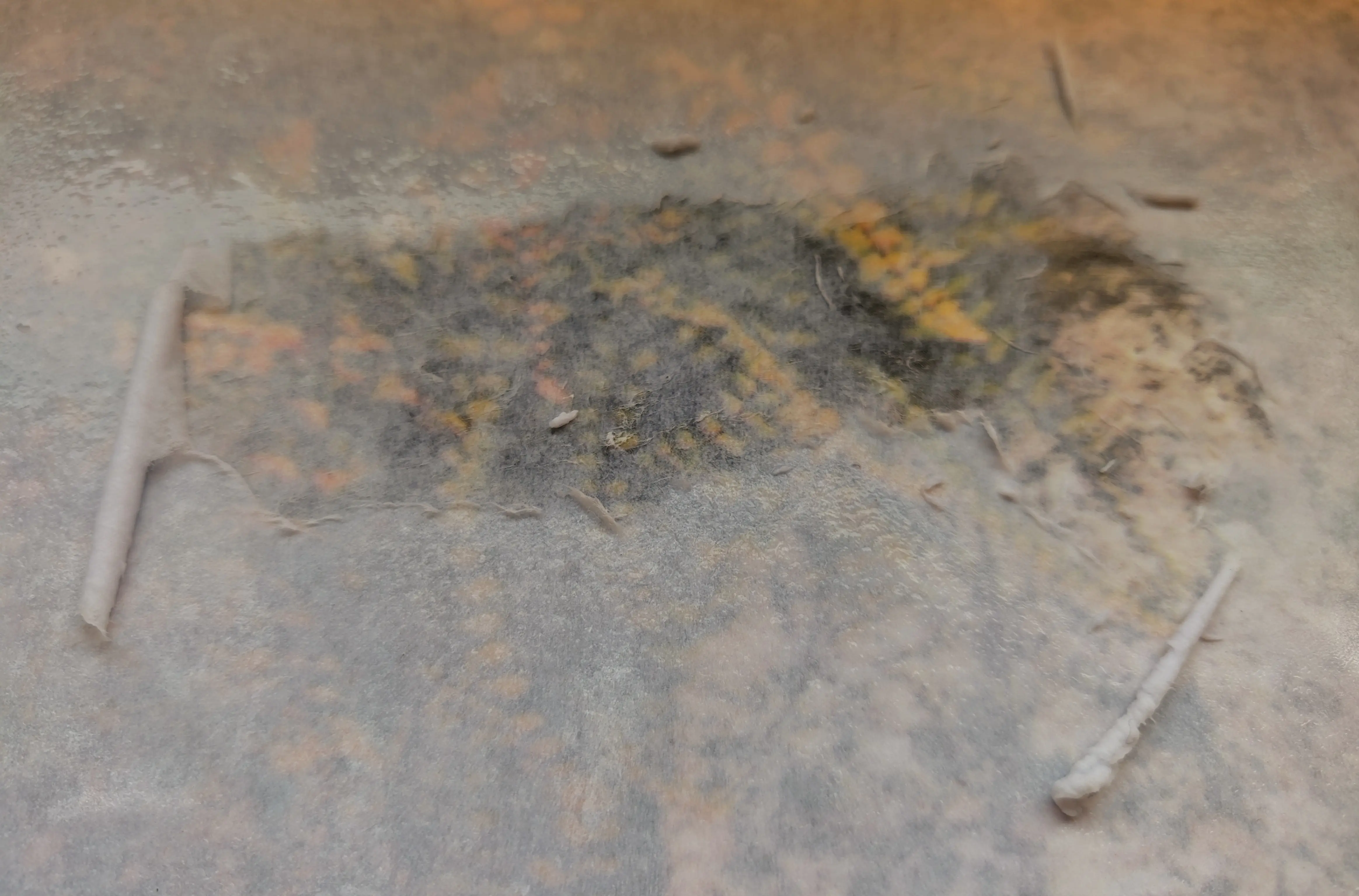 The paper rolled in a straigt line