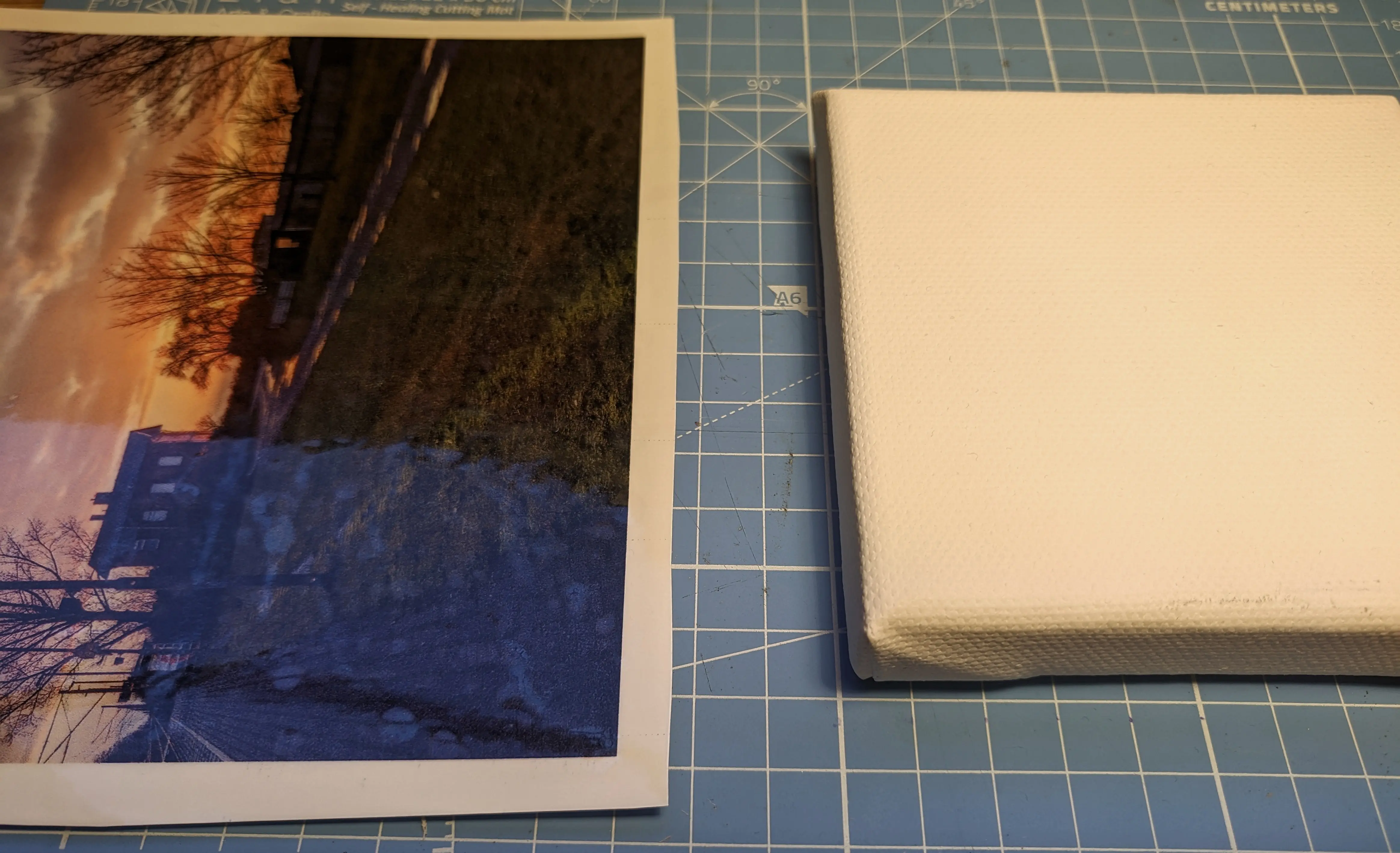 Photo of the prepared workspace. The canvas and photo are sitting on a cutting mat. The photo has a white border around it.
