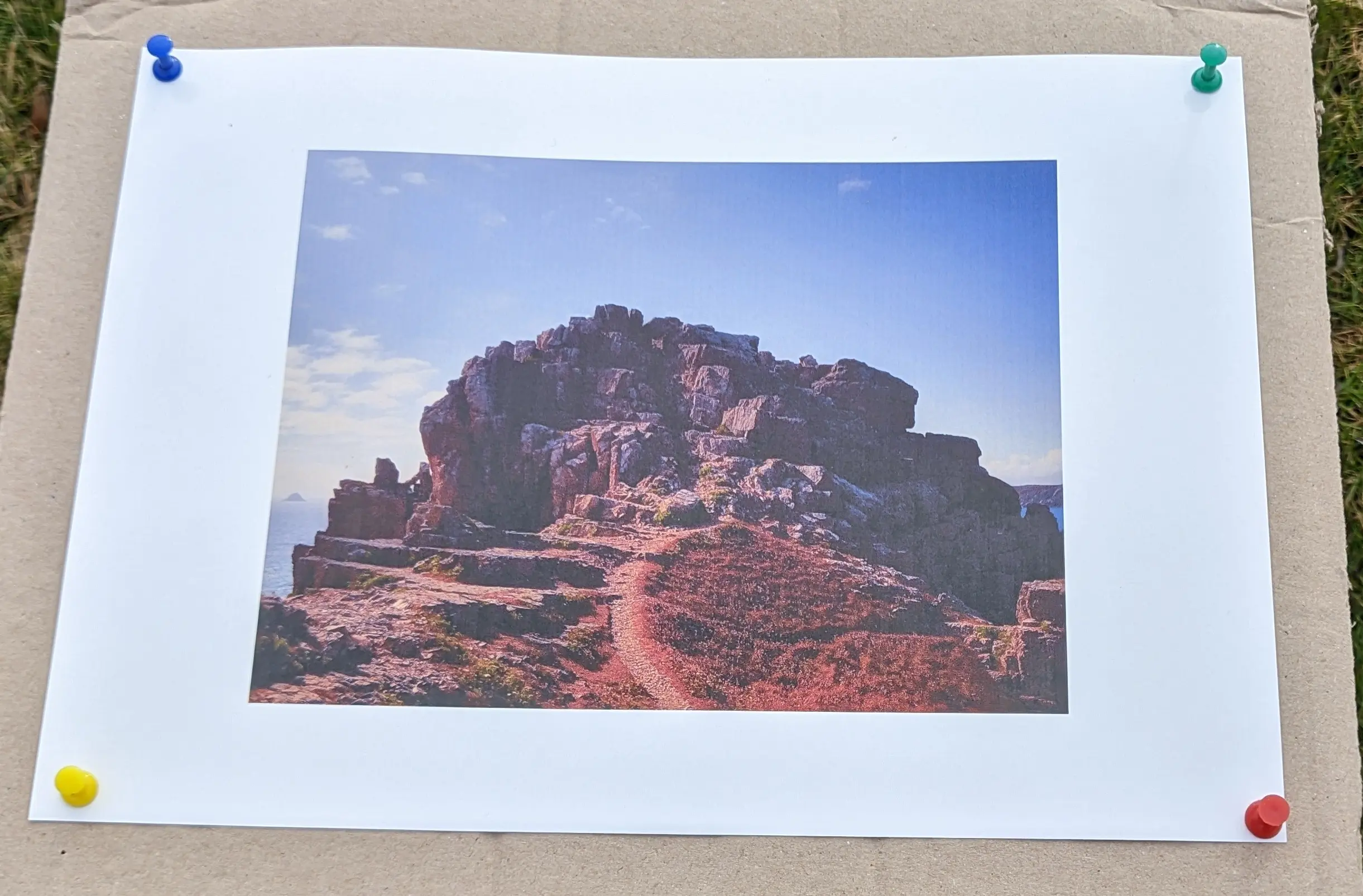 Picture printed on A4 paper pinned on a cardboard sheet. The A4 sheet has a fairly large white, unprinted area around the photo.