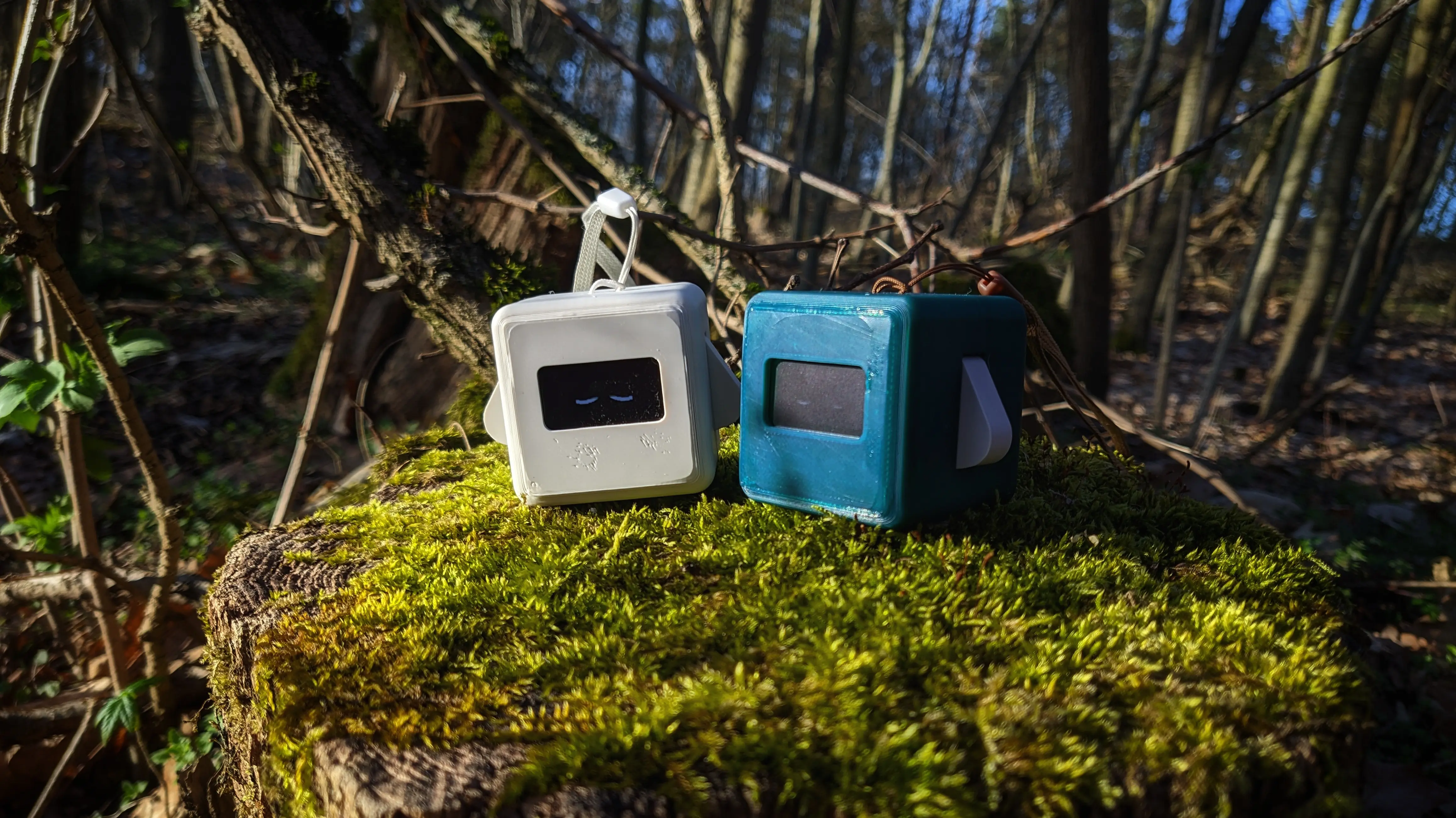 Two Precious Blocks (one white one and a teal one) sitting on a moss-covered tree stump looking at the sunset.
