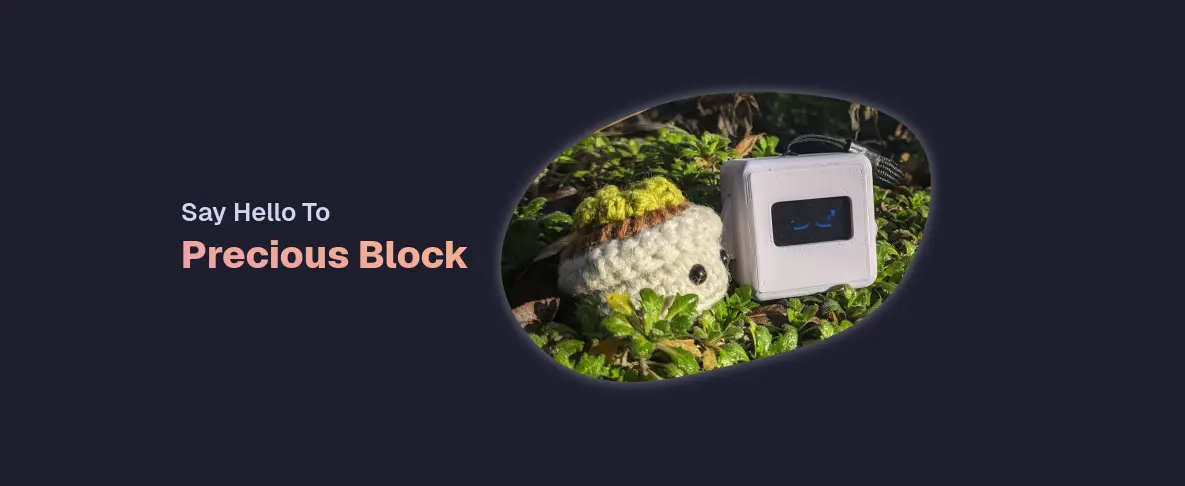 Website screenshot. The background is a dark blue with the text &ldquo;Say Hello To Precious Block&rdquo; next to a photo of a lavender Precious Block next to a crochet flower pot.