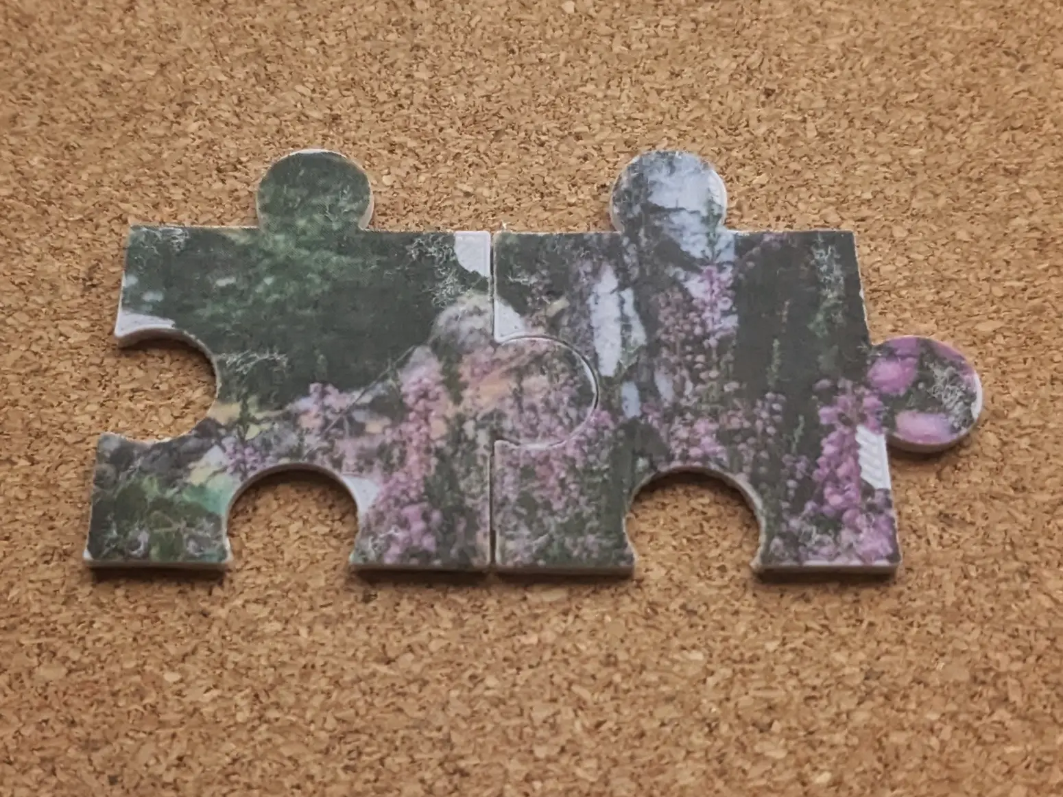 The same two large puzzle pieces assembled together to reveal the image on them depicts a birch tree surrounded by purple flowers.