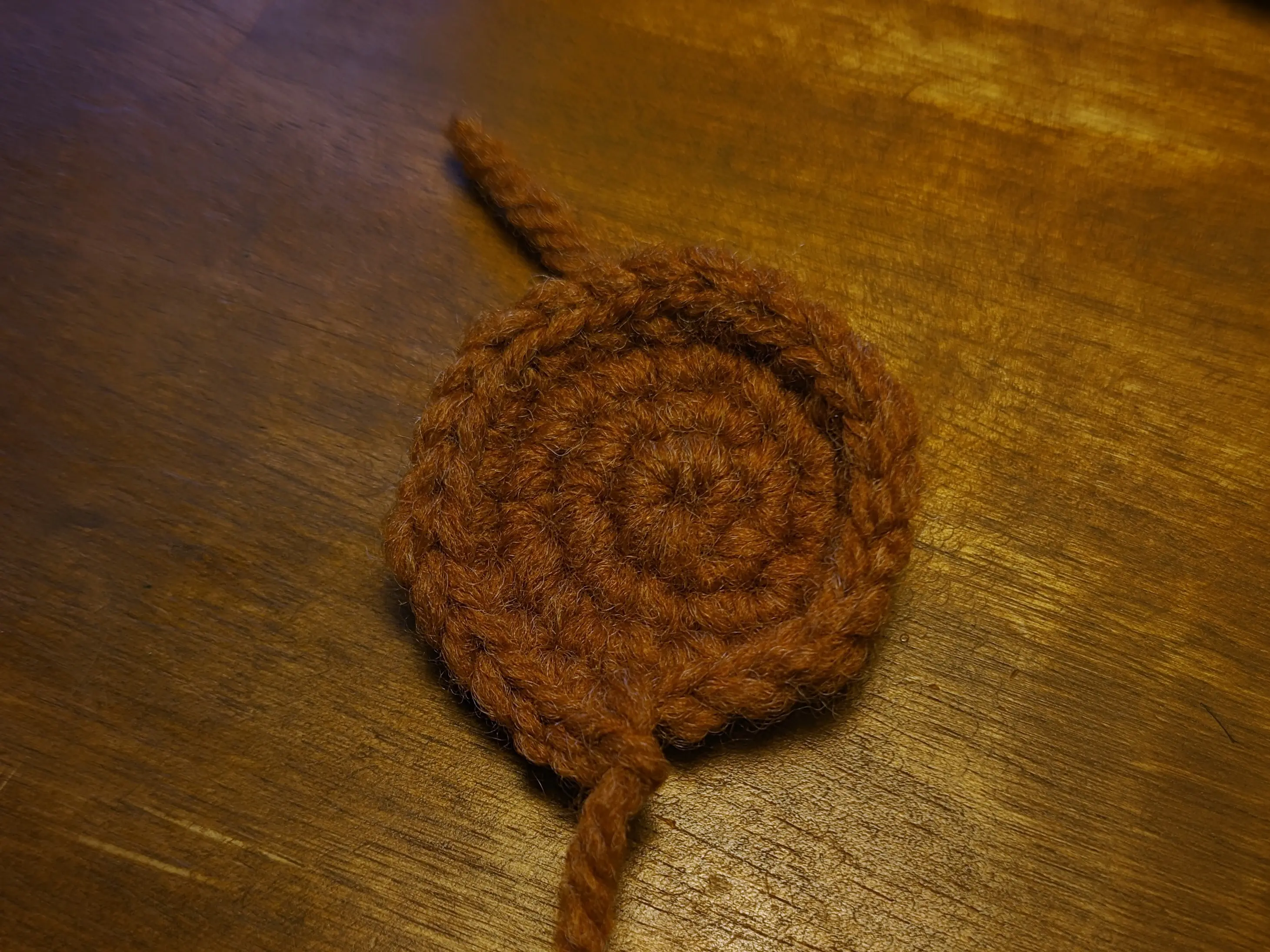 Brown crochet disk, similar to the base of the flowerpot.
The yarn has been slipstitched through the first stitch forming a slight bump on the end of the disk.