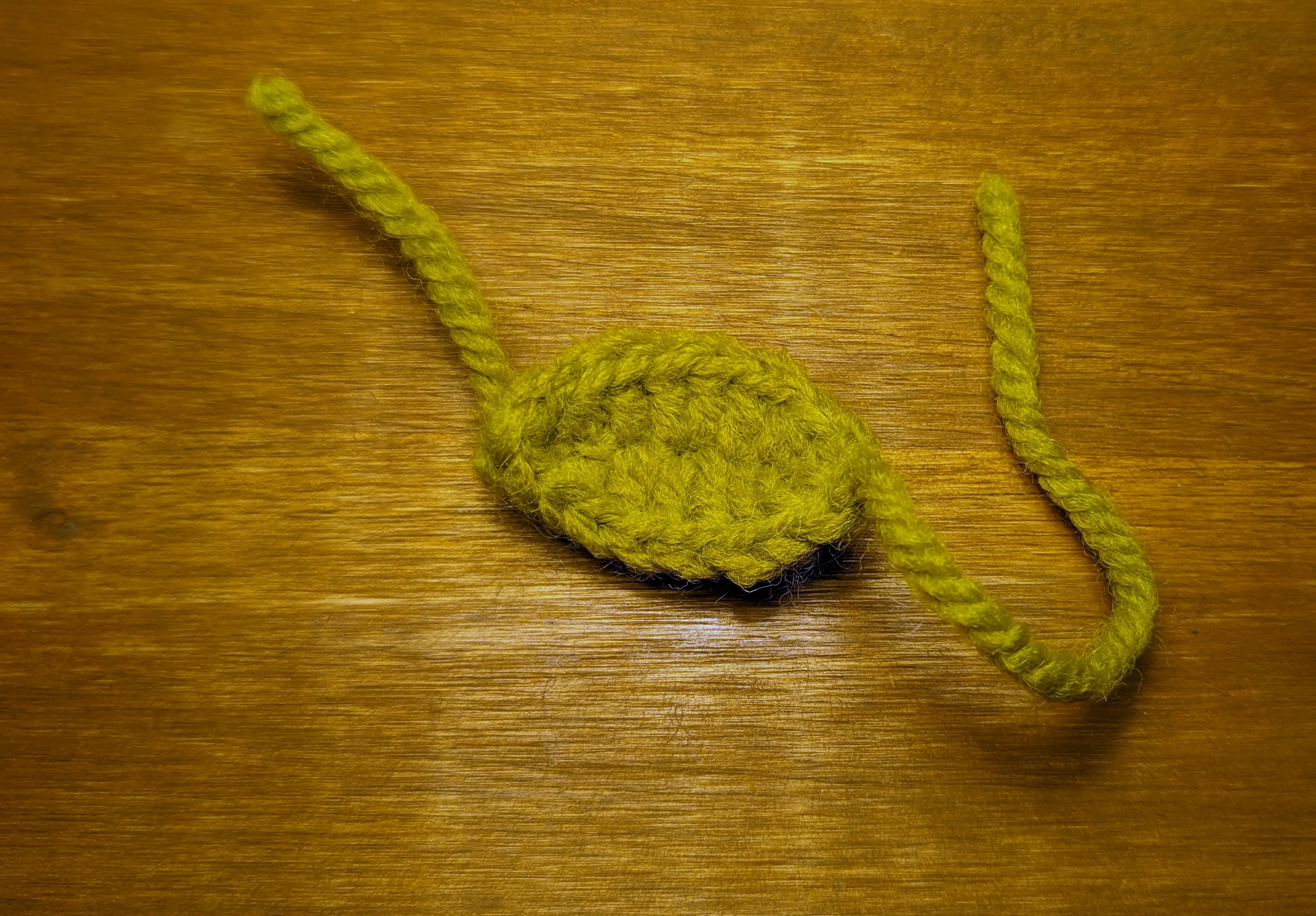 Elliptical green leaf with visible crochet stitches.
A stem-like line is visible along the middle lengthwise, with small ribs running outwards.