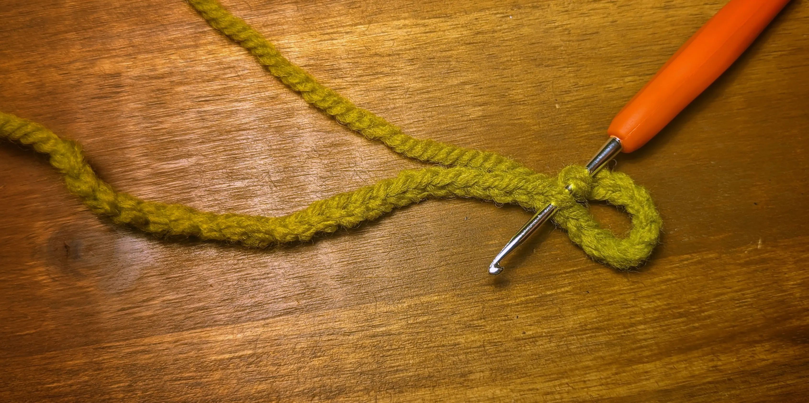 The crochet hook stuck from the bottom up through a loop of the chain.
The chain is not twisted, meaning that the front faces are still facing up.