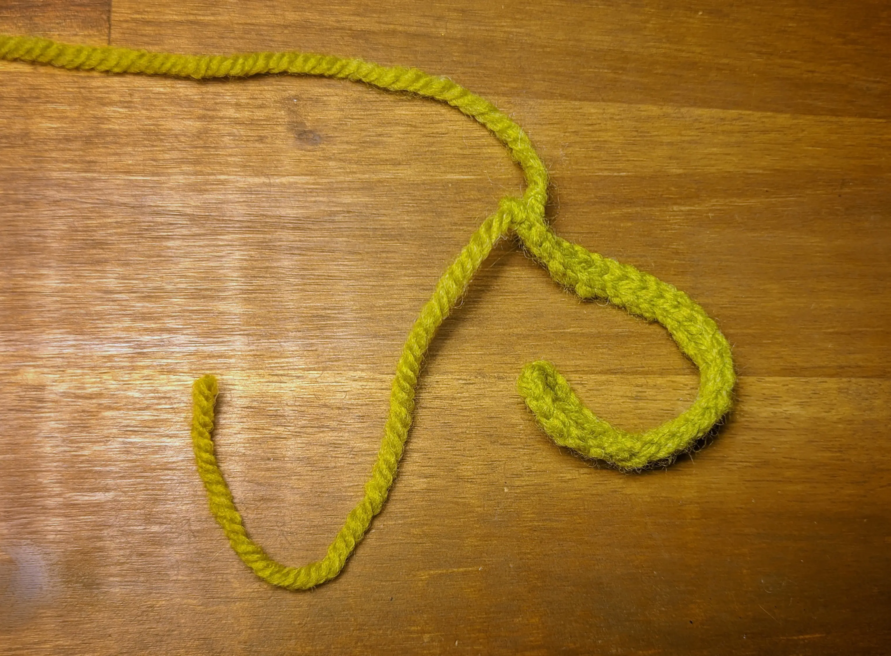 Thin, stem-like crochet chain with a loop on one side.
Two roughly 9 cm long yarn sections are extending from the end of it.