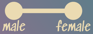 Two white dots on a gradient background, connected by a white line. The left dot is labeled &ldquo;male&rdquo; and the right one &ldquo;female&rdquo;