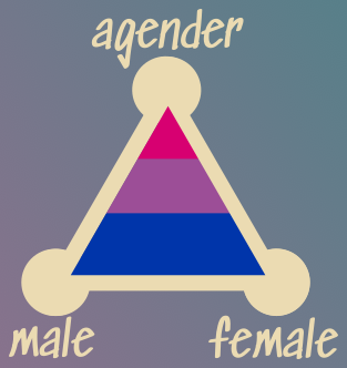 A triangle made up of male, female, agender with everything highlighted in the colors of the bisexual flag