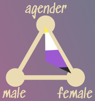 A triangle made up of male, female, and agender. A triangular area, connecting agender, female, and the triangle center is highlighted in the colors of the non-binary flat