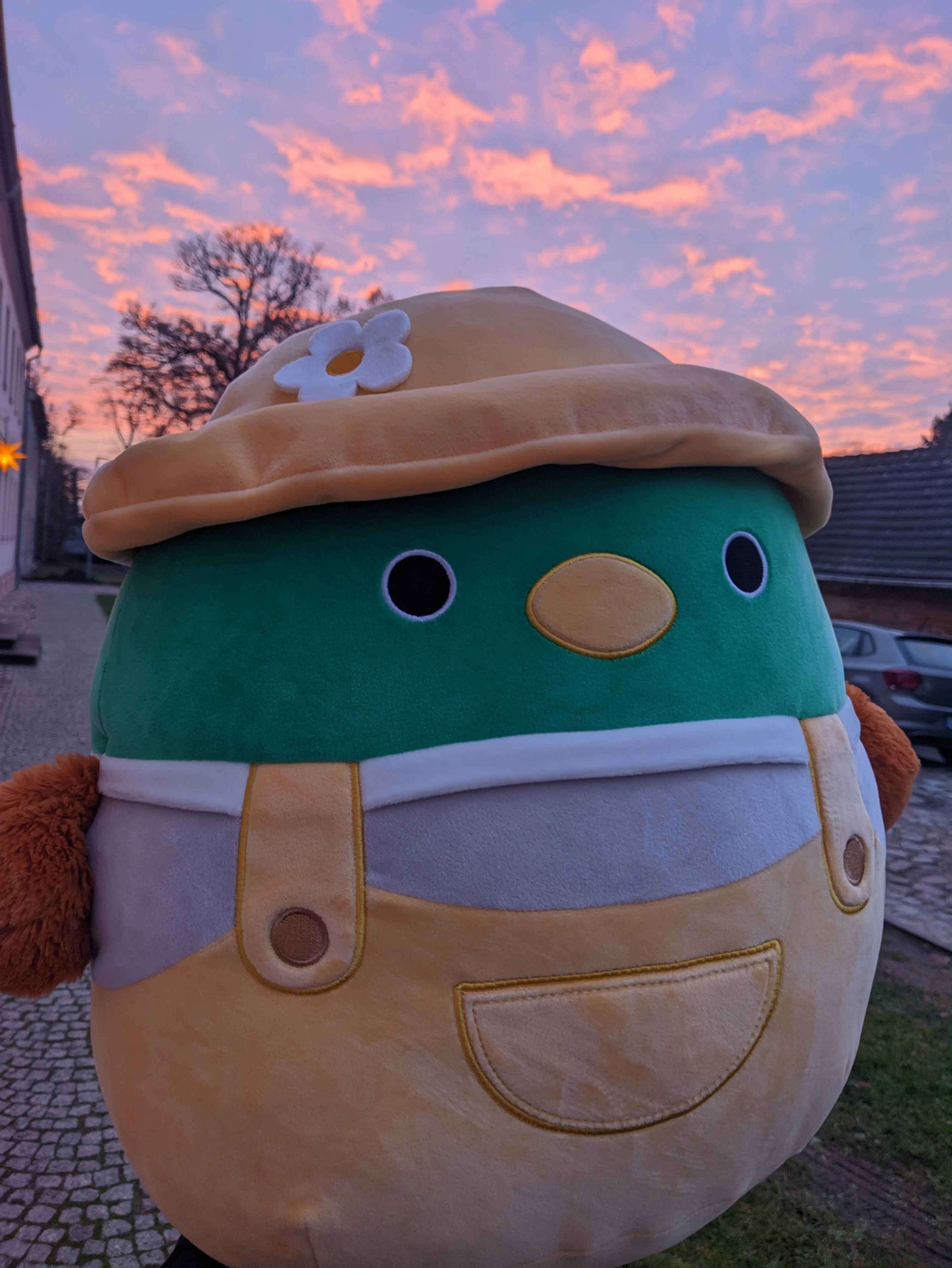 A large duck plushy being held in front of the sky at dusk, with the sunset casting it a beautiful orange.
It has a green head with a yellow beak and is wearing yellow overalls and a yellow fishing hat, with a white flower on it.
