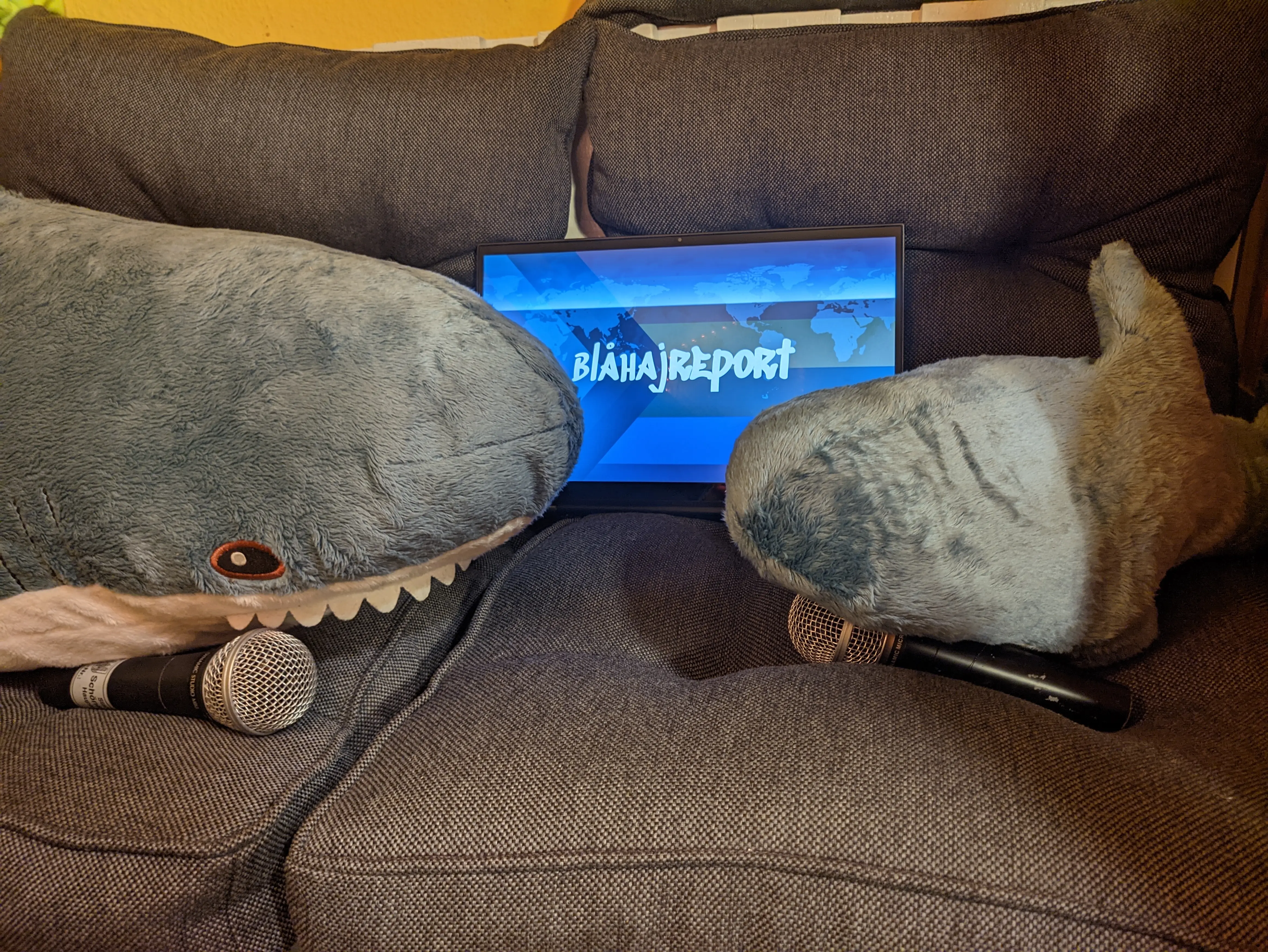 Two IKEA shark plushies sitting on a gray sofa with microphones under their mouths.
Resting against the pillows on the back is a screen with the text "Blahajreport" edited on top the "Deutsche Tagesschau" background with a pride flag overlay
